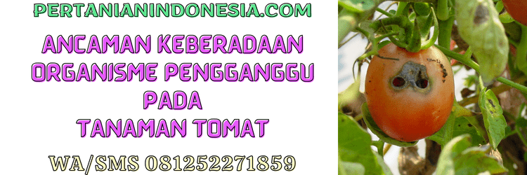 ancaman,opt,organisme pengganggu,hama,penyakit,pertanian indonesia